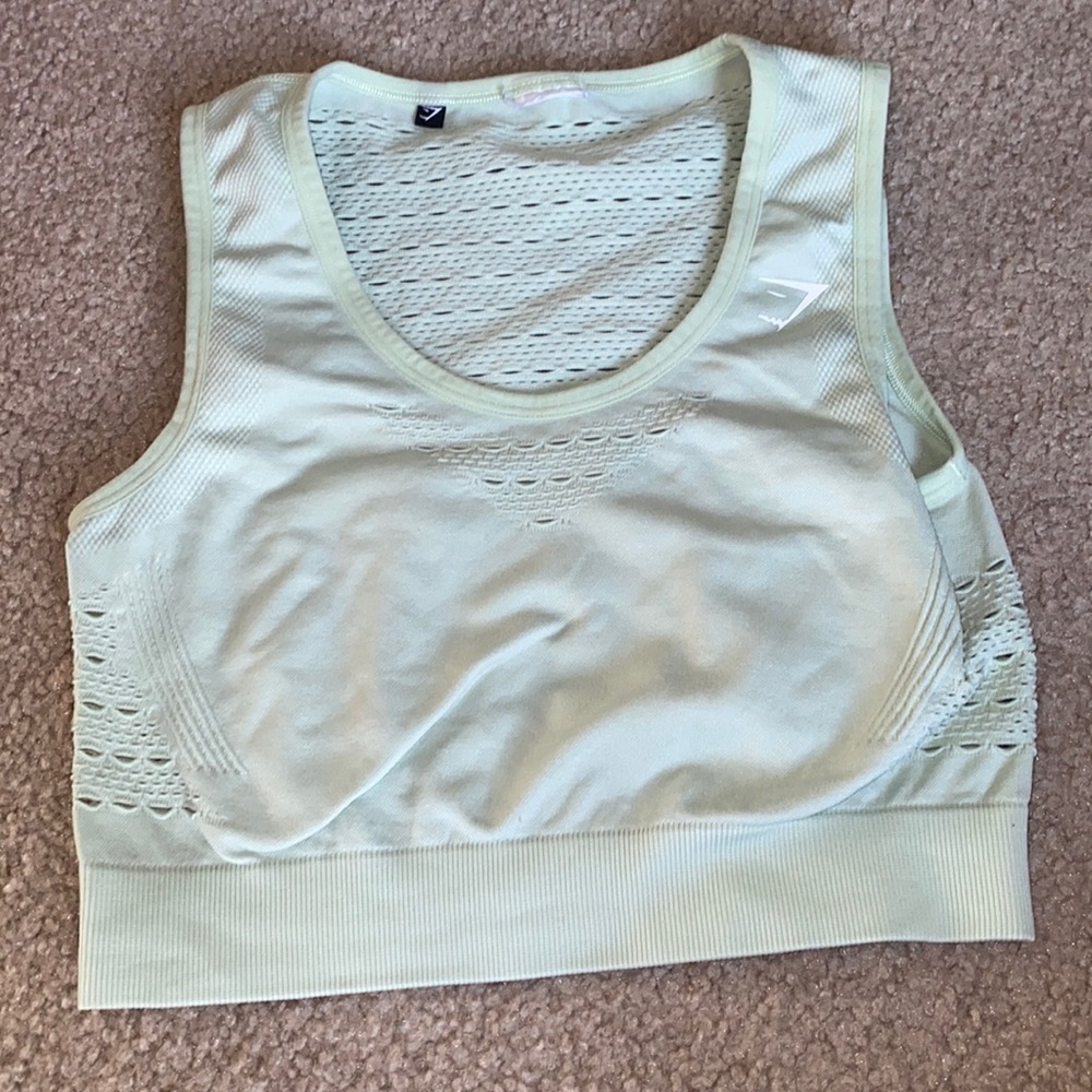 Mint green gym shark sports bra